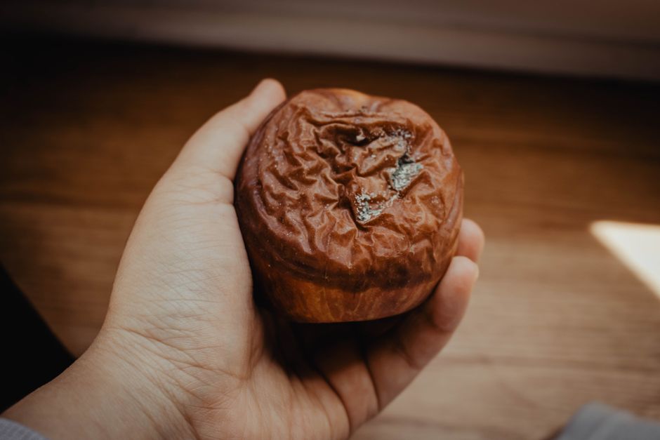 como tirar mau cheiro da geladeira carne podre