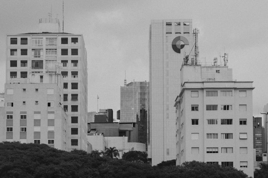 o que é prouni e como ele funciona